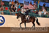 09yn-22243 proof