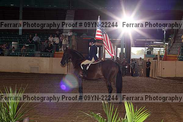 Proof 09yn-22244