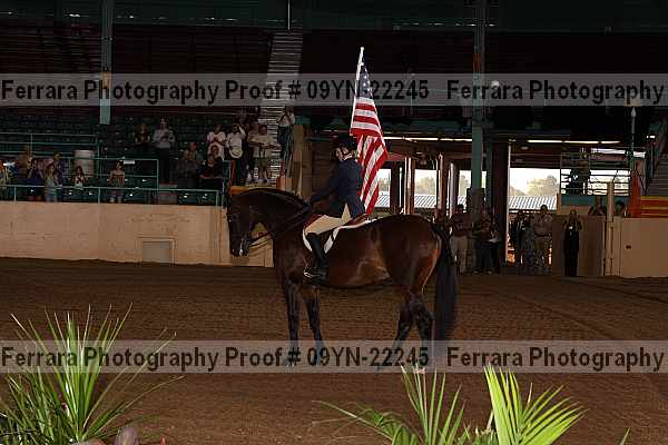 Proof 09yn-22245