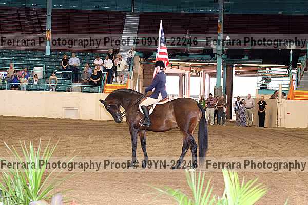 Proof 09yn-22246