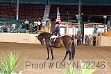 09yn-22246 proof