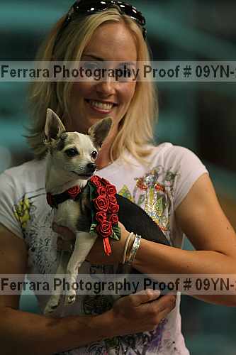 Proof 09yn-22641
