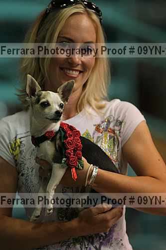 Proof 09yn-22642
