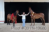09yn-19680 proof