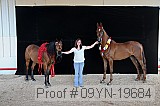 09yn-19684 proof