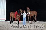 09yn-19706 proof
