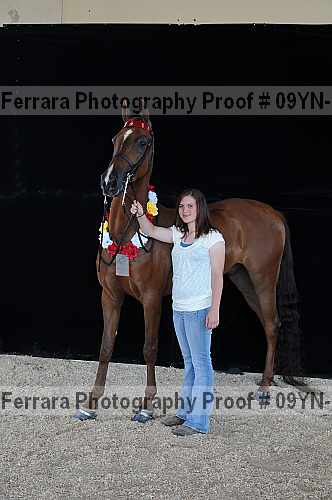 Proof 09yn-19743