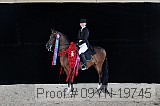 09yn-19745 proof