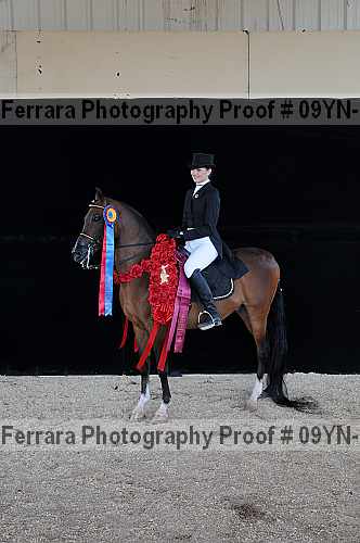 Proof 09yn-19749