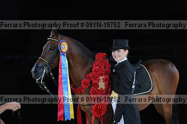 Proof 09yn-19752