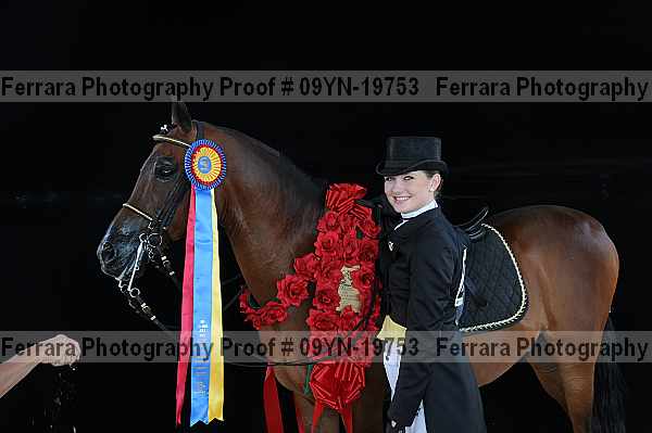 Proof 09yn-19753