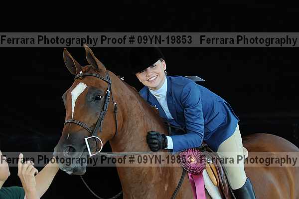 Proof 09yn-19853