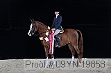 09yn-19858 proof