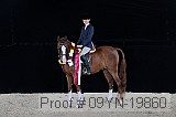09yn-19860 proof