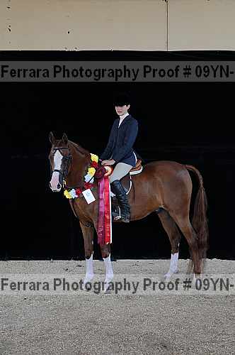 Proof 09yn-19861