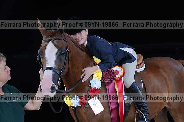 Proof 09yn-19866