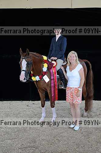 Proof 09yn-19874
