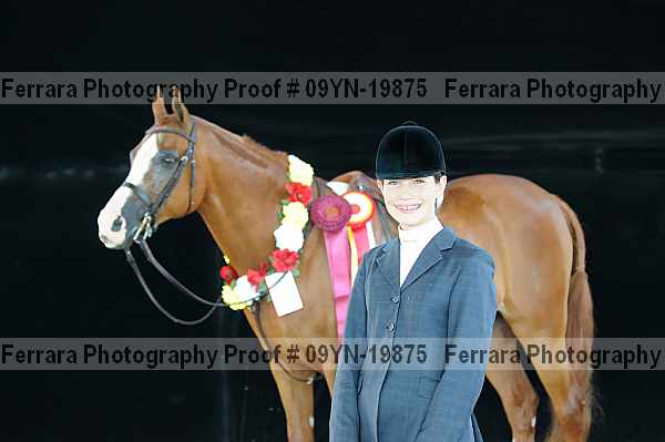 Proof 09yn-19875