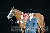 09yn-19875 proof
