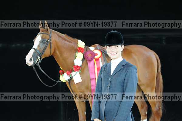 Proof 09yn-19877