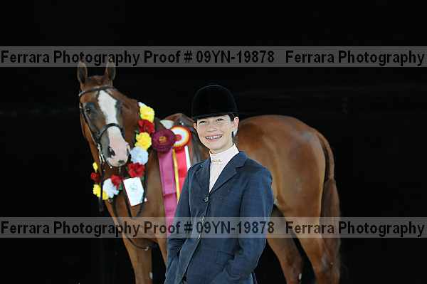 Proof 09yn-19878