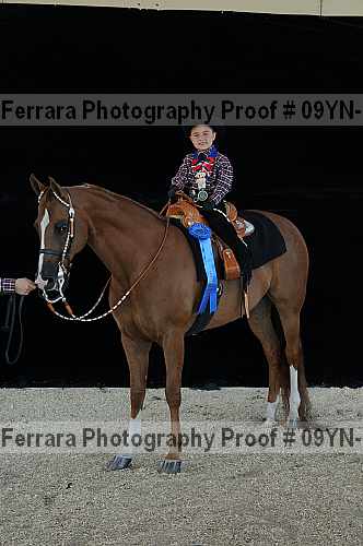 Proof 09yn-19893