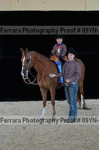 Proof 09yn-19896