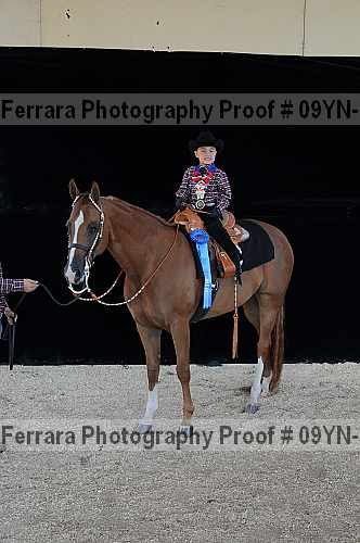 Proof 09yn-19908