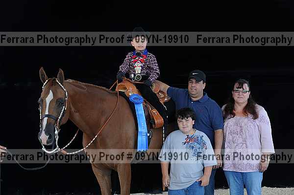 Proof 09yn-19910