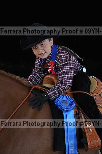 Proof 09yn-19914