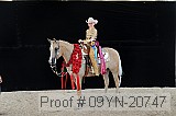 09yn-20747 proof