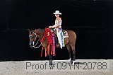 09yn-20788 proof
