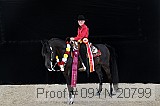 09yn-20799 proof