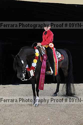 Proof 09yn-20801