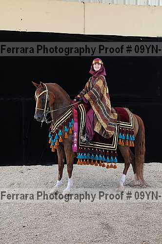 Proof 09yn-20807
