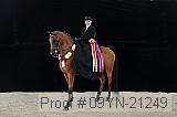 09yn-21249 proof