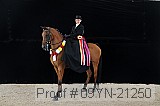 09yn-21250 proof