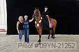 09yn-21252 proof