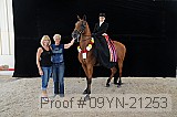 09yn-21253 proof