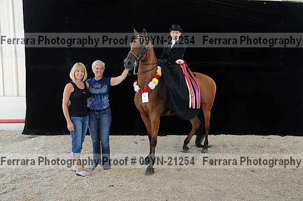 Proof 09yn-21254