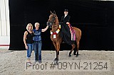 09yn-21254 proof