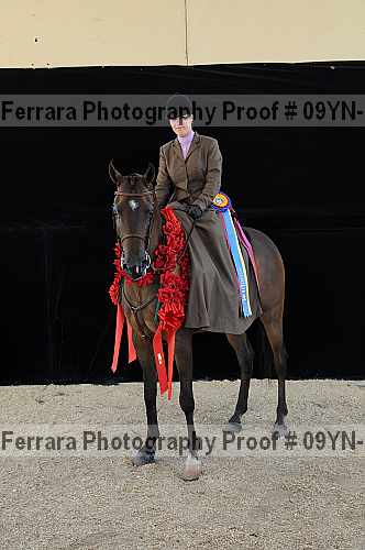 Proof 09yn-21263