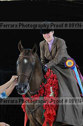Proof 09yn-21273