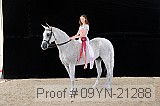 09yn-21288 proof