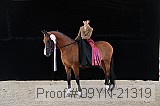 09yn-21319 proof