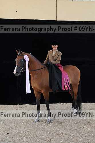 Proof 09yn-21322