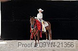 09yn-21356 proof