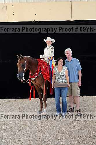 Proof 09yn-21371