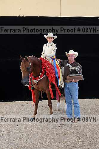 Proof 09yn-21374