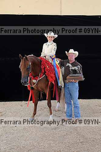 Proof 09yn-21375